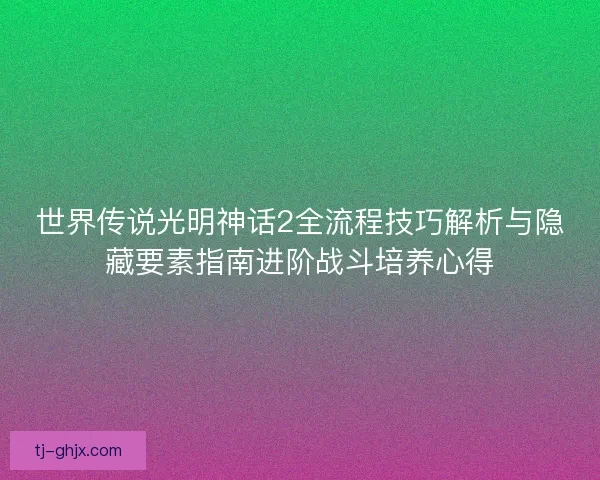 世界传说光明神话2全流程技巧解析与隐藏要素指南进阶战斗培养心得