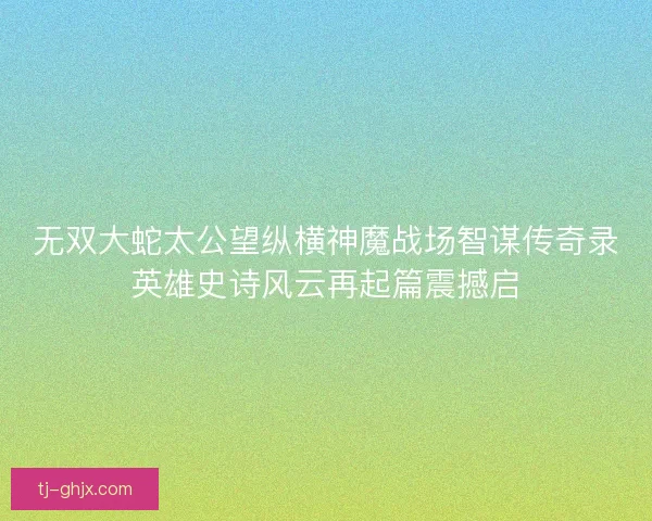 无双大蛇太公望纵横神魔战场智谋传奇录英雄史诗风云再起篇震撼启