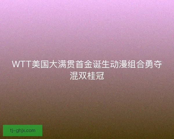 WTT美国大满贯首金诞生动漫组合勇夺混双桂冠