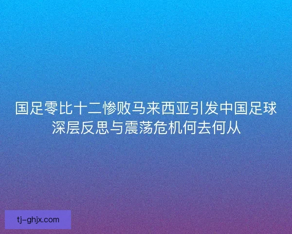 国足零比十二惨败马来西亚引发中国足球深层反思与震荡危机何去何从